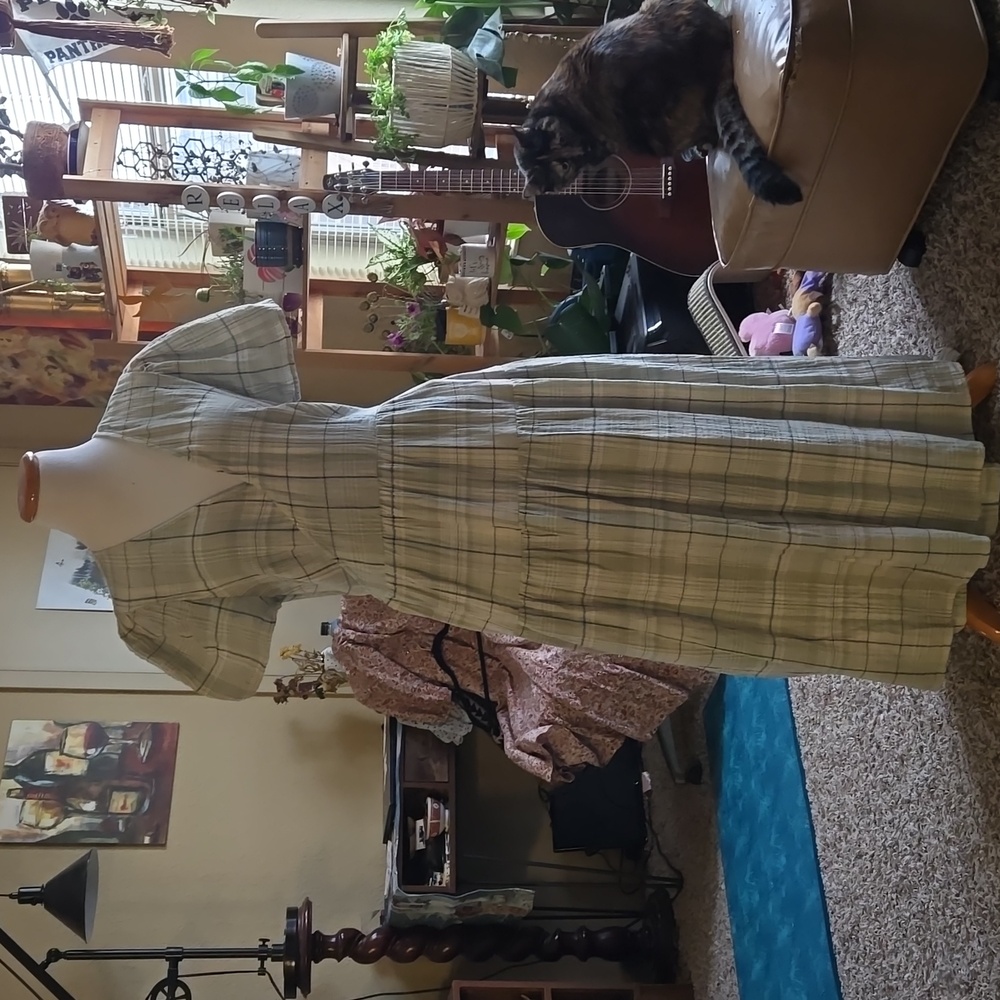 Original Thread Target Dress